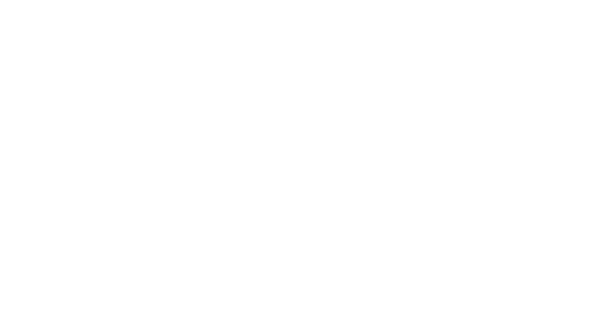 Essegi Automation Srl